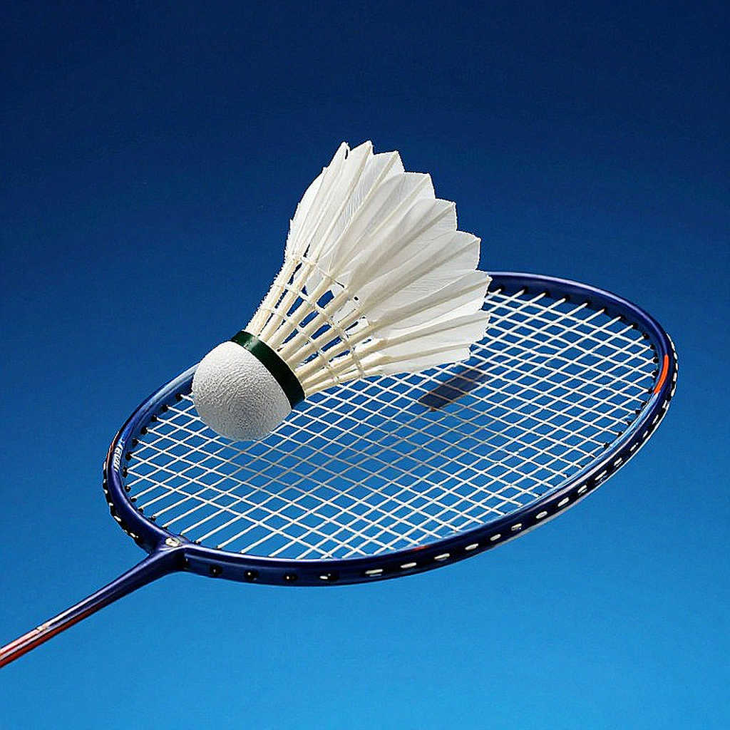 Vietnamese Badminton and the Data Void: When the Notebook Stays Blank, Coordinates Stop Telling Stories Vietnamese Badminton and the Data Void: When the Notebook Stays Blank, Coordinates Stop Telling Stories