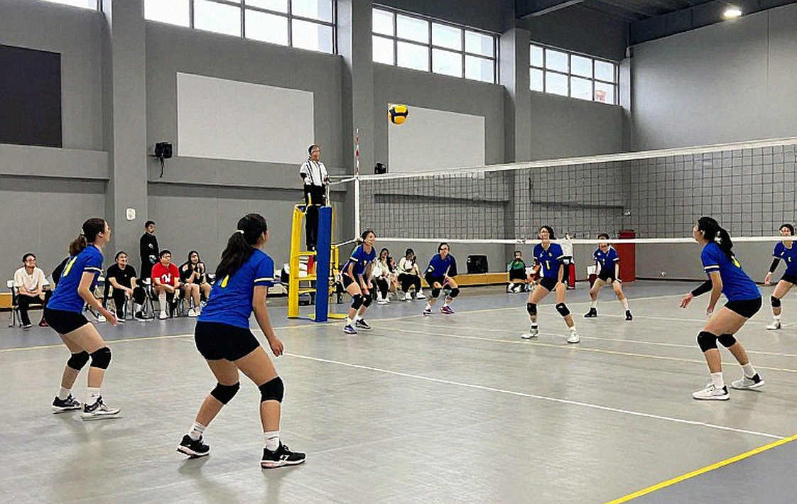 Norris và bài toán Monza: Khi dữ liệu nói về sự phụ thuộc mạch đua Norris và bài toán Monza: Khi dữ liệu nói về sự phụ thuộc mạch đua