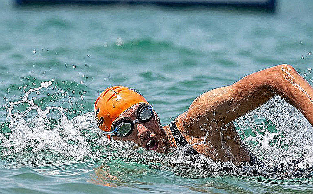College Swimming League: Tầng giải đấu mới và khoảng trống quyền lực ở bơi lội đại học Mỹ