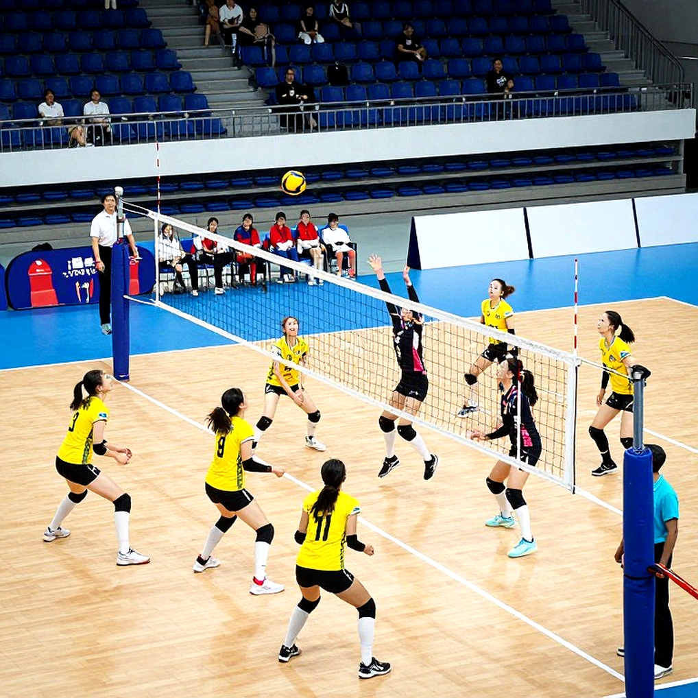 Brazil trở lại ngôi vương Nam Mỹ: Darlan de Souza, 23 điểm và câu hỏi bỏ ngỏ về vé Olympic LA 2028